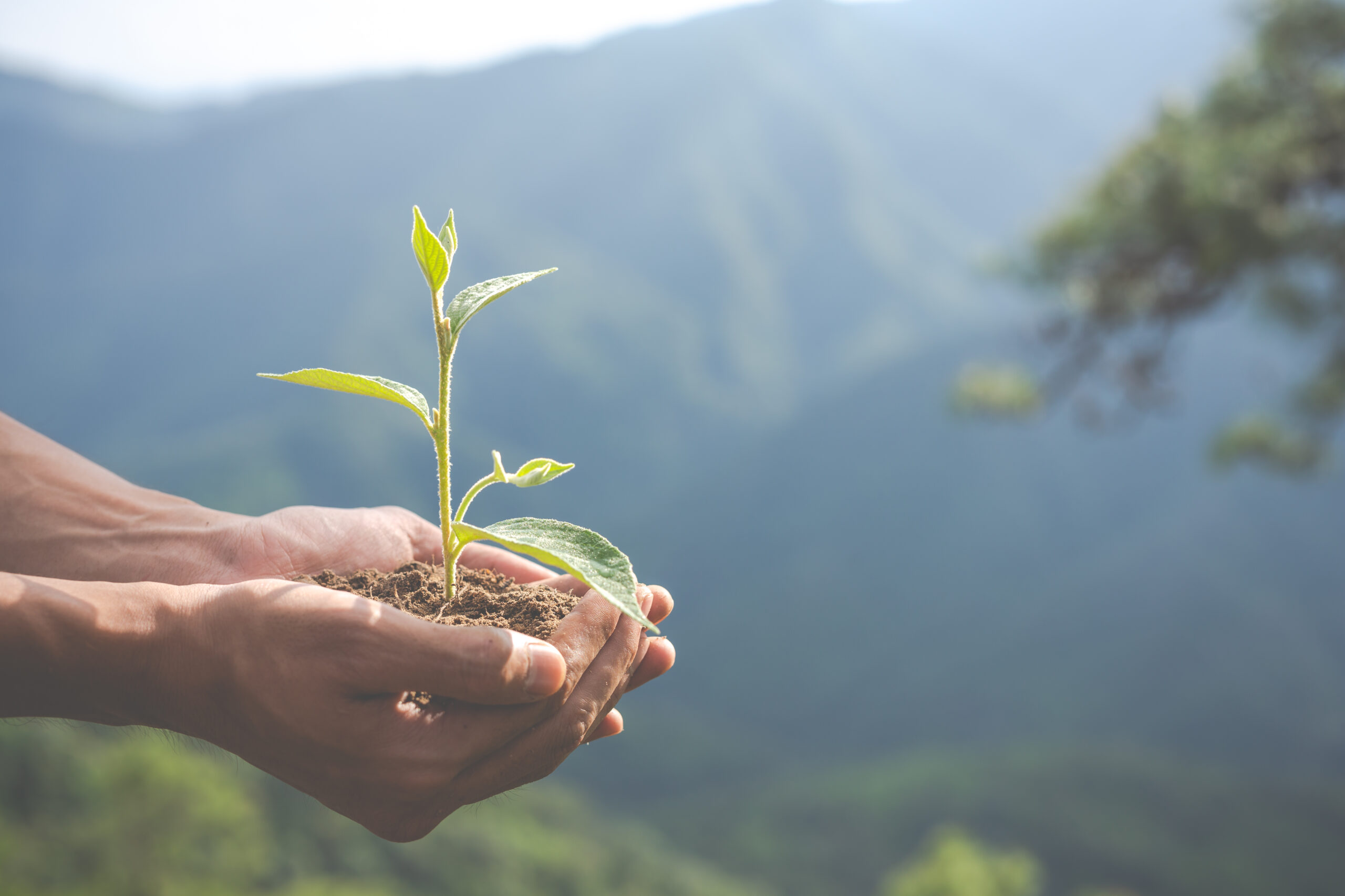 CFGM Sanitat Ambiental Aplicada