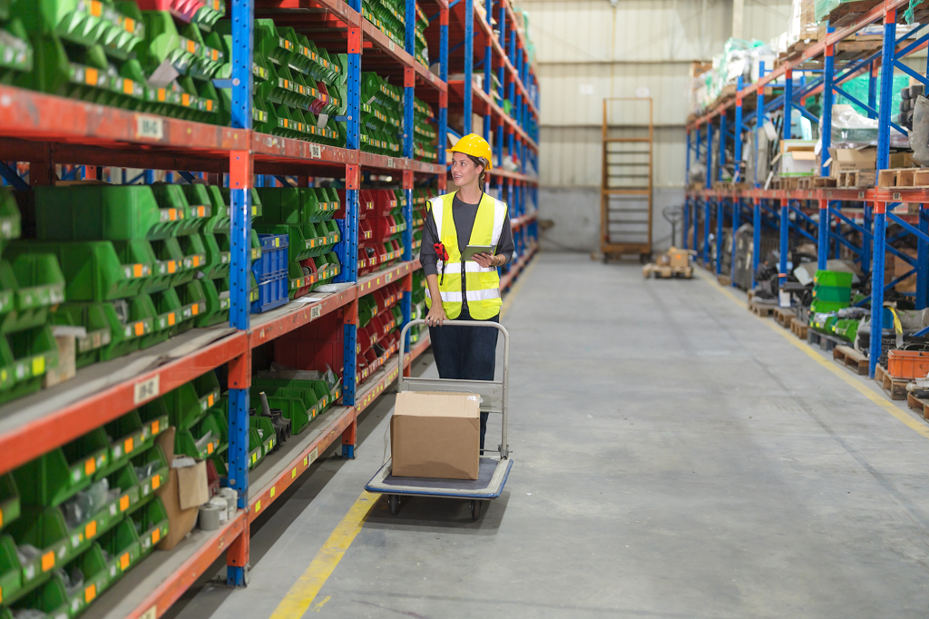 Auxiliar de Comercialització de Productes i Logística